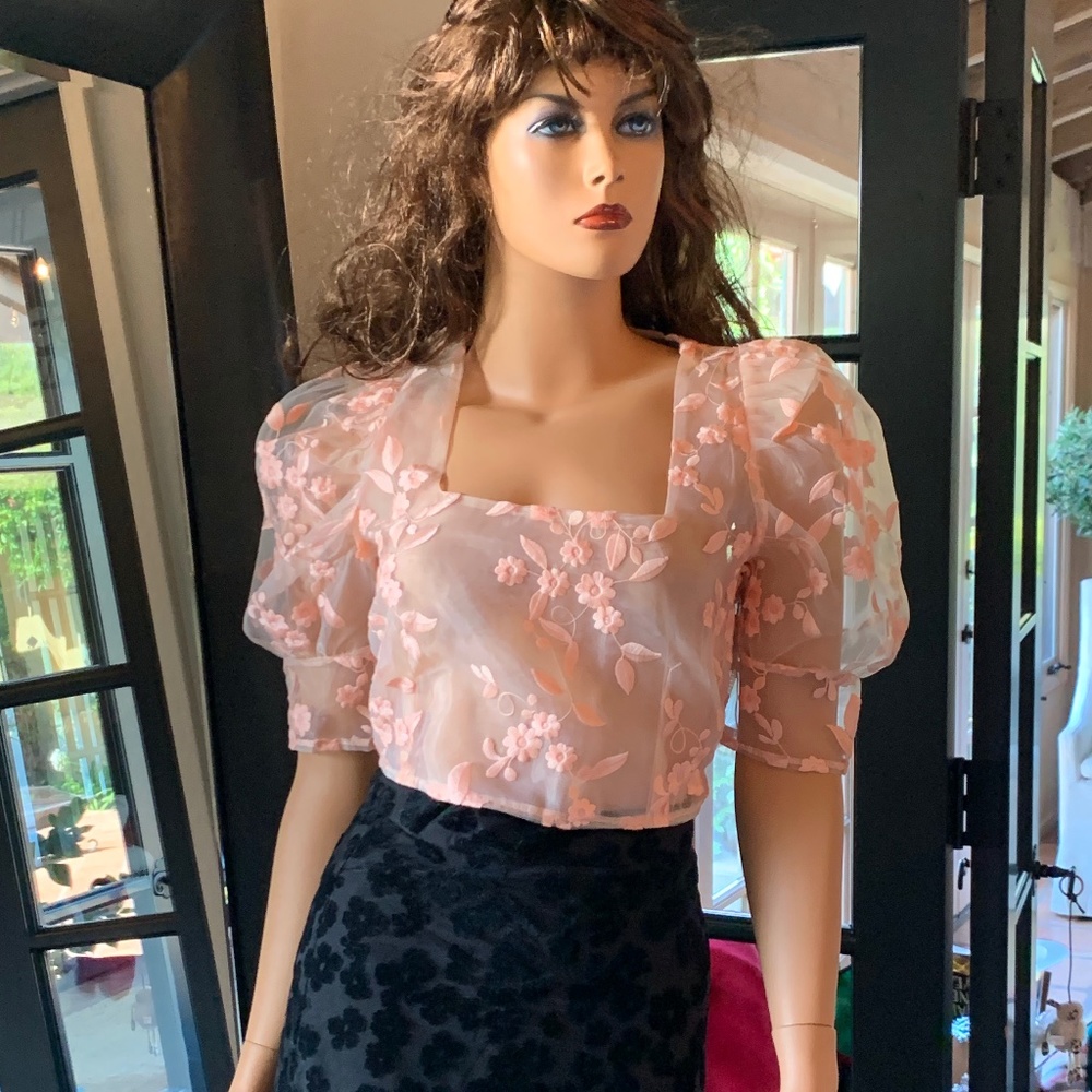 Zara Women's Sheer Embroidered Floral Puff Sleeve